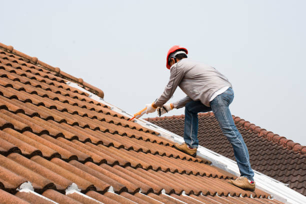 Best Sheet Metal Roofing  in Goodhue, MN
